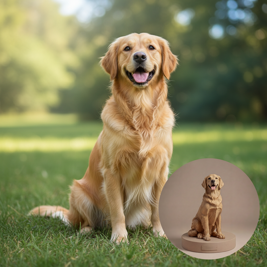 Der Golden Retriever